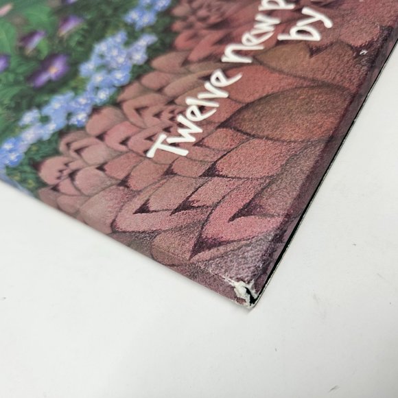 Vintage 1984 Nikki Schumann 12 Poster Portfolio Calendar Prints 11x14 Frameable - Picture 11 of 16